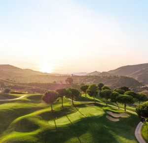 Cala Golf Course 12TH AMERICA_GREEN