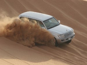 Bild Dubai Wüstensafari
