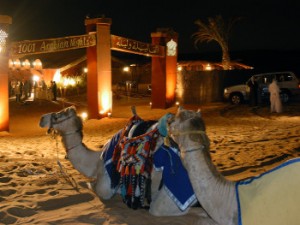 Bild Dubai Dinner im Wüstencamp
